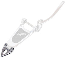 Load image into Gallery viewer, Bigsby B6 Hinge plate and pin
