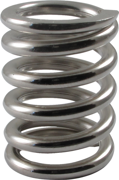 Bigsby 1 inch spring steel